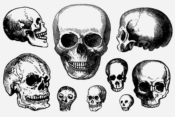 Vintage Vector Skulls