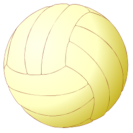 Volleyball