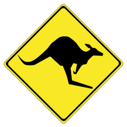 Warning kangaroos ahead