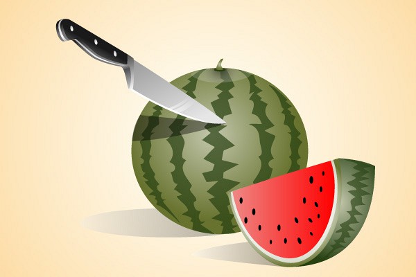 Watermelon Vector Illustration