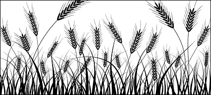 Wheat silhouettes vector material