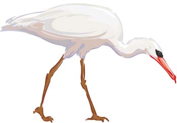 White egret vector 1