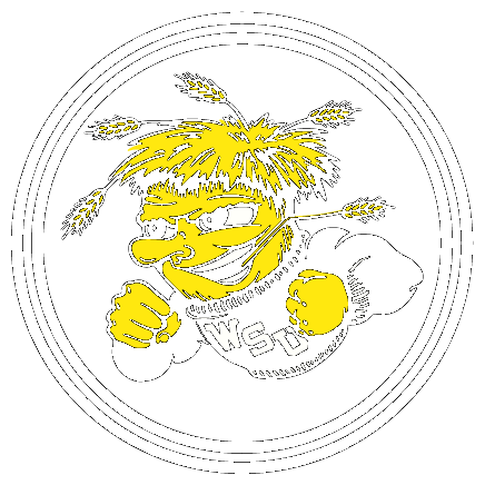 Wichita State Shockers