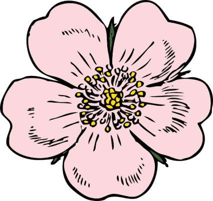 Wild Rose clip art