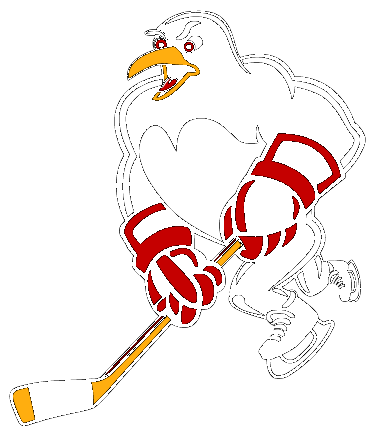 Wilkes Barre Scranton Penguins