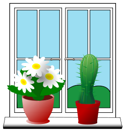 Window with plants