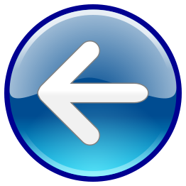 Windows Media Player Back Button