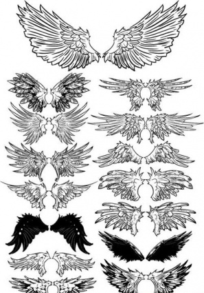 Wings set