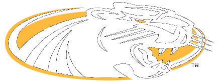 Wisconsin Milwaukee Panthers