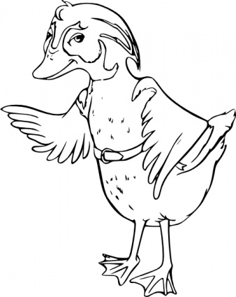 Wood Duck clip art