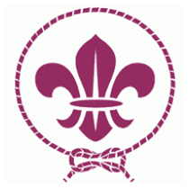 Worls Scout Movement