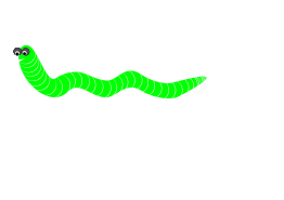 Worm / Gusano