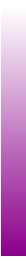 Ws Gradient Darkmagenta