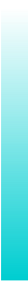 Ws Gradient Darkturquoise