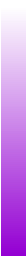 Ws Gradient Darkviolet