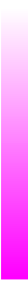 Ws Gradient Magenta