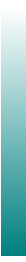 Ws Gradient Teal