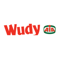 Wudy