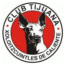 Xoloitzcuintles de Tijuana