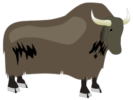 Yak