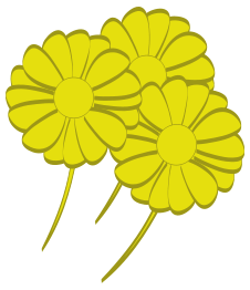 Yellow Flowers