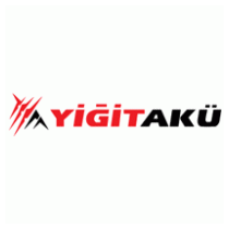 Yigit Akü Yeni Logo