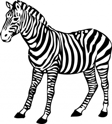 Zebra clip art