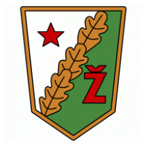 Zhalgiris Vilnus (logo of 80's)